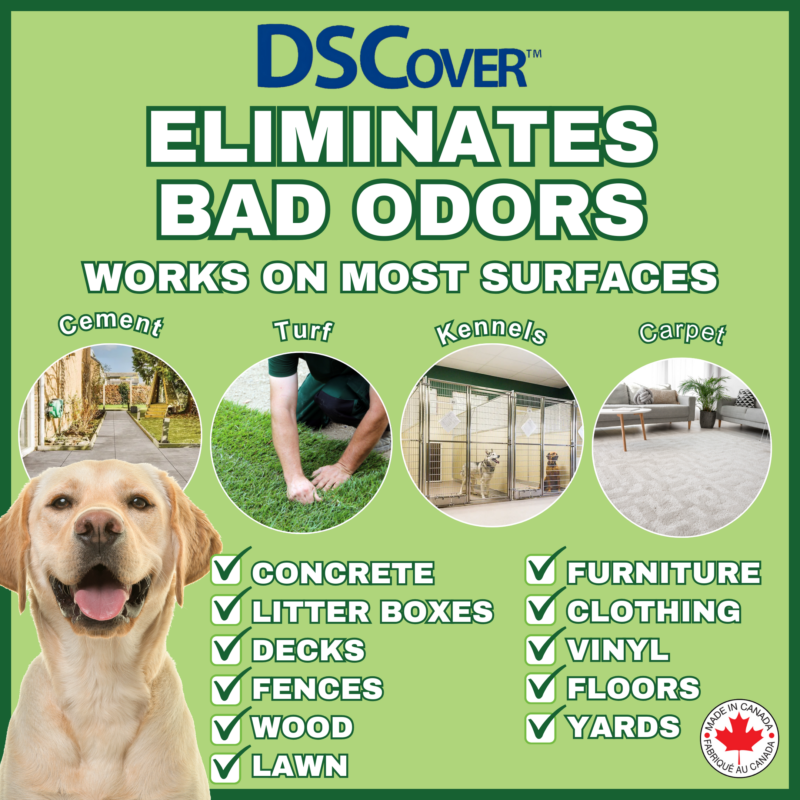 pet odor eliminator