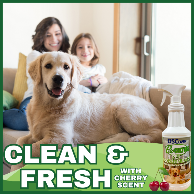 DSCover Pet Odor Eliminator Bio Culture 1L - Image 3